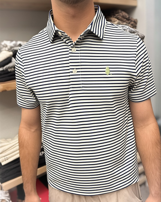 Hurricane Polo